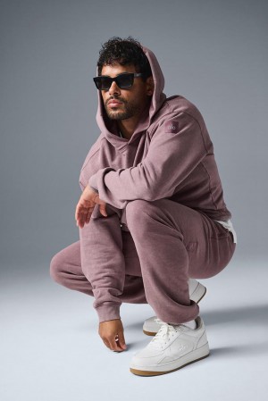 Woodrose Wash Alo Yoga Chill Vintage Wash Men Hoodie | KSA ESB306418